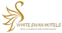 website logo
